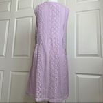 NWT Francesca’s (Blue Rain) Lavender Lace Shift Dress M Purple Size M Photo 5