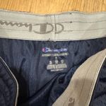 Champion Penn State  skirt Photo 1