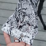 Rose + Olive  Sheer Snake Print High/Low Waistline Blouse Photo 5