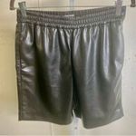 Babaton #122 ARITZIA  High Waist Leather Shorts Photo 3