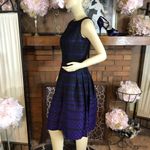 Carmen Marc Valvo PURPLE & BLACK HALF MOON PRINT TEXTURED FIT & FLARE DRESS (4) Photo 4