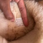 UGG Bailey Bow Boots Photo 5