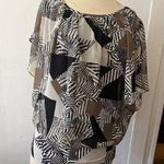 Style & Co NWT Macys scoop neck geometric blocked zebra print dolman sleeve blou Photo 0