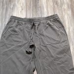 Calypso St. Barth  Silk Appoline Gray Jogger Pants Size Small Photo 1