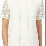 Badgley Mischka  Key Hole Back Lace Short sleeve Shirt Size Small Photo 0
