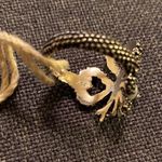 Gucci sterling silver faux Pearl heart ring size 14 Photo 1