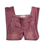 Soft Surroundings  Pink Woman's Casual Jeggings Size Small Petite Photo 0