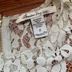 American Rag Champagne gold lace fitted Bodycon dress SZ small Photo 5