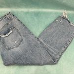 Vervet  Distressed Denim 31 Photo 0