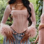 House Of CB Stella BLUSH MESH Feather TRIMMED CORSET Photo 2