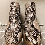 Altar'd State Snakeskin Booties Photo 1
