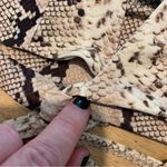 Nasty Gal NWT Snakeskin Wrap Front Bikini Top 4 Photo 4