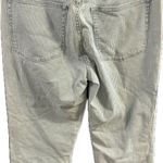 J.Crew  blue Striped white straight leg jean like pants Photo 2