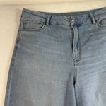 American Eagle  16 Long 16T Jean Curvy Super High Waisted Baggy Straight Strigid Photo 2