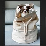Maxbone Extra Mile Rucksack Tan Pet Carrier Backpack Photo 1