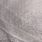 Raga  Anthropologie M White Juhi Luna Eyelet Button Down Flutter Sleeve Maxi Photo 13