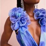 ASOS NWT LUXE plunge maxi dress with exaggerated ruffles and ruched detail Sz 10 Photo 3