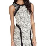Parker • Jagger Mini Dress bodycon lace print cocktail black cream sheath Photo 0