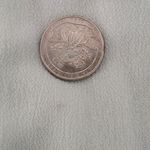 Honey Punch Mint Green Sleeveless Lace Trim Crop Top NWT Sz Medium Boho Top Photo 7