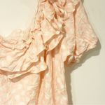 Lisa Marie Fernandez x Target Size XL Pink Polka Dot One Shoulder Ruffle Dress Photo 2