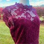 Sans Souci  Lace Burgundy Wine Dress Photo 12