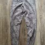 Balance Athletica Ascend Leggings in Boa Photo 6