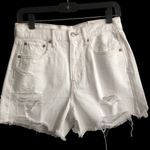 American Eagle NWT  Distressed 90’s Boyfriend Mid Denim Shorts W14 Photo 1