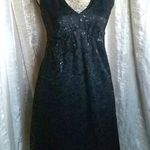 The Limited  Black Lace Dress Photo 0