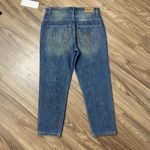 Wildfox  Sz 24 Baggy Crop Jeans Da Vinci Distressed Grunge Boho Boyfriend Relaxed Photo 8