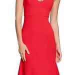 Dress the Population  Sammie Cherry Red Mini Sweetheart Sleeveless Dress size S Photo 1