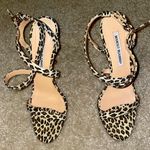 Manolo Blahnik Heels Photo 1