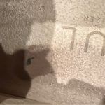 Naturalizer FINAL PRICE  SOUL TURNER SLIP ON SNEAKER Photo 4