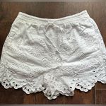 ZARA  Cutwork Embroidered Shorts Size XS Photo 1
