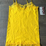 Bongo NWT ‎ Junior dandelion lace trim cami size small Photo 0