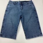 Ruff Hewn  Denim Pinstripe Bermuda Shorts Women's Size 4 Photo 0