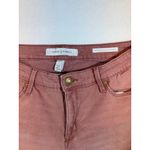 Vintage America Wonderland Skinny Ankle Jeans Floral Embroidery Pink Size 10 Photo 2