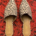 Lulus Leopard Mules Photo 0