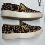 Steve Madden  Gills Slip On Leopard Print Sneakers Photo 4