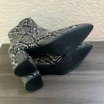 Steve Madden  Snakeskin Dafni Bootie Ankle Boots Photo 4