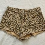 PacSun cheetah print  high rise festival jean shorts size 26 Photo 0
