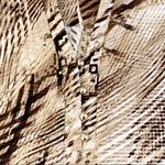 Dana Buchman Sleeveless Top MP Snake Skin Print Lightweight Stretch Photo 6