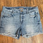 DL1961  Karlie Boyfriend denim shorts Photo 0