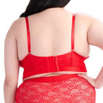 Parade Underwear NWT - Lace Bustier. Photo 1
