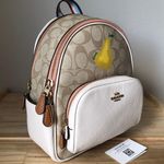 Coach Mini Backpack Photo 0