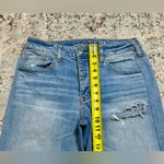 American Eagle Stretch Tomgirl mid rise button fly jeans size 10 Photo 4