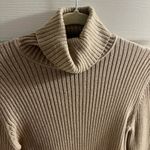 The Limited Cozy beige sparkle Turtleneck Sweater m  Photo 1