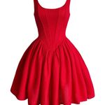 Adeirlina Dahlia Red Mini Dress Photo 0