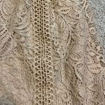 Cable & Gauge Tan Lace High Neck Sleeveless Blouse S Photo 6