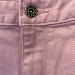 Christopher & Banks  Pink Shorts Size 16p Photo 2