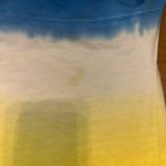 Disney Parks Snow White Poison Apple Spirit Jersey Disneyland Resort XXL Blue Photo 6